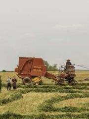 The Rough Man Hunter