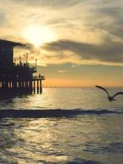 Transmigration: Feel