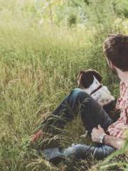 lt;lt;lt;Reborn Soar