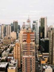 The Hardships of a D