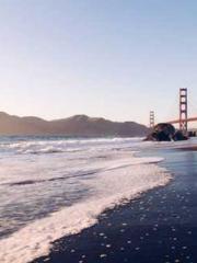 Transmigration: Feel