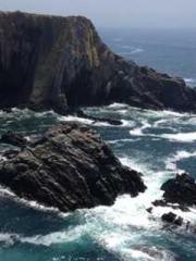 The Favorite Concubi