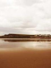 Lin Feng Lin Yun Yao