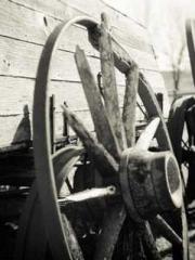 Bones-Eating Marriag