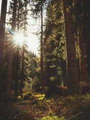 My husband is the Ki