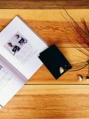 lt;The Dragon Discar