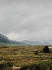 My husband is the Ki